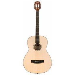 Kala KA-GTR Tenor Guitar