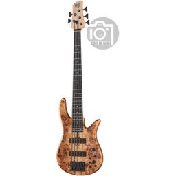 Fodera Monarch STD Spacial 5 Poplar