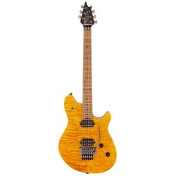 EVH Wolfgang WG Std QM TA