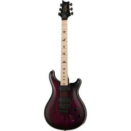 PRS CE 24 Dustie Waring Floyd WB