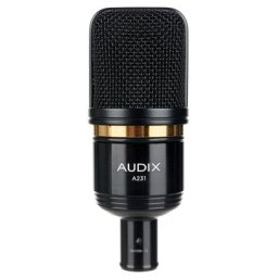 Audix A231