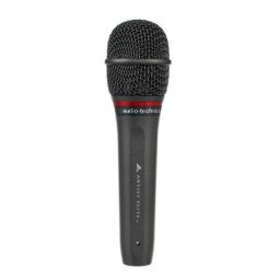 Audio-Technica AE 6100
