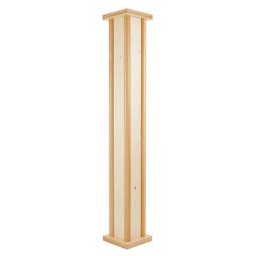 Meinl PRORM1NT Pro Rainmaker