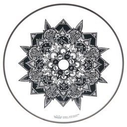 Remo 16"" Emperor Clear A. Improta