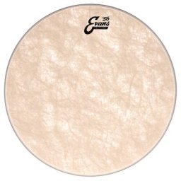 Evans 18"" Calftone Tom