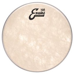 Evans 10"" Calftone Tom