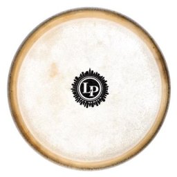 LP 663B Bongo Head City EZ 7