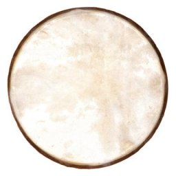 Studio 49 EF250 Drum Head for RT250