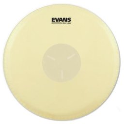 Evans EB07 7 1/4"" Tri Center Head