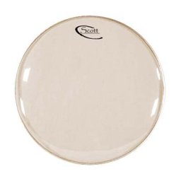 Scott 10"" Banjo Head White