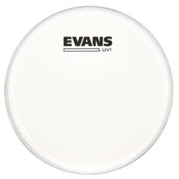 Evans 08"" UV1 Coated Tom