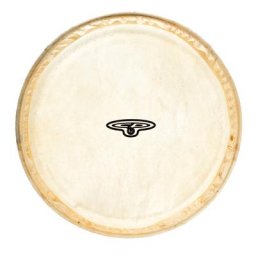 LP CP221A Bongo Head 6