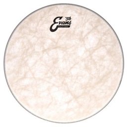 Evans 13"" Calftone Tom