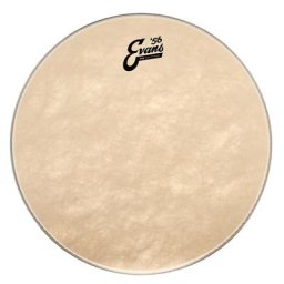 Evans 16"" EQ4 Calftone Bass / Tom