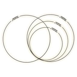 Aquarian Studio Rings SRSET10