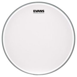 Evans 16"" UV1 Coated Bass
