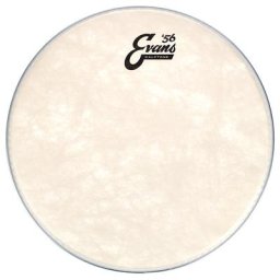 Evans 12"" Calftone Tom