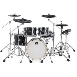 Gewa G5 Pro 5