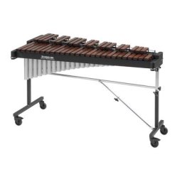 Studio 49 RXP/R 3050/V A=443Hz