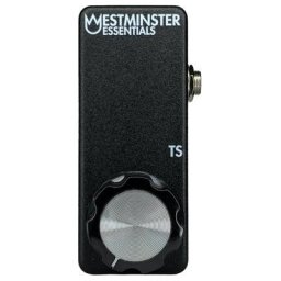 Westminster Effects Micro Expression TS