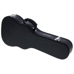 Ovation Mandoline Case