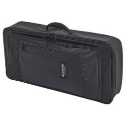 Analog Cases Sustain Case Matriarch/ASM Hyd