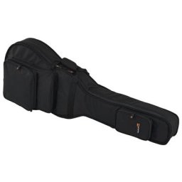 Protec Hollow Body E-Guitar CF229