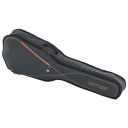 Ritter RGS3 Folk Guitar MGB