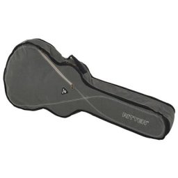 Ritter RGS3 335 Guitar SGL