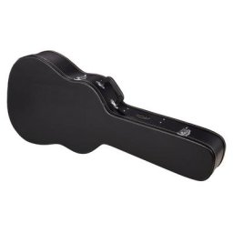 Ortega Dreadnought Guitar Case