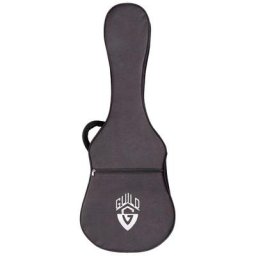 Guild Acoustic Polyfoam Case Orchest