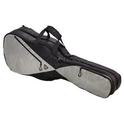 Ritter RGP5 Double Electric BSG