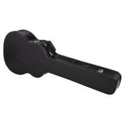 Ortega Acoustic Bass Case