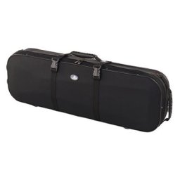 Artonus Geeston Fresco VN Case C-D1C