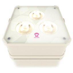 Ape Labs ApeLight maxi V2 (B) Single C
