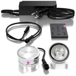 Ape Labs ApeCoin V2 Set 1 IP