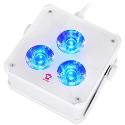 Ape Labs ApeLight maxi V2 (C) Single C