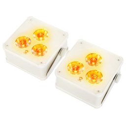 Ape Labs ApeLight maxi V2 (B) Set 2 C