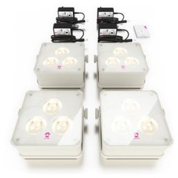 Ape Labs ApeLight maxi V2 (B) Set 4 C