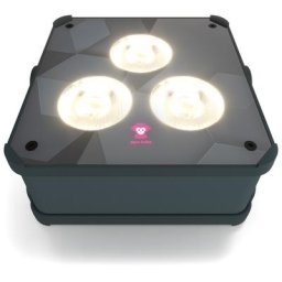 Ape Labs ApeLight maxi V2 (B) Single G