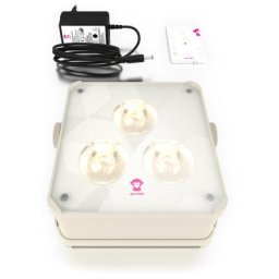Ape Labs ApeLight maxi V2 (B) Set 1 C