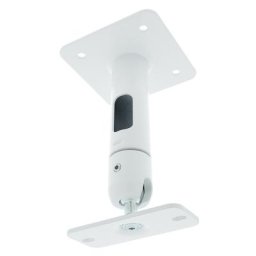 Genelec 8000-202W