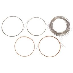 Thomann Nataraj Esraj Strings Set