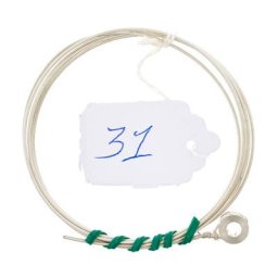 Roth & Junius Antonia Harp String No. 31