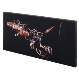 t.akustik Print Panel Mic Check
