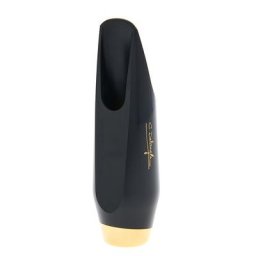 Selmer Alto Sax Claude Delangle