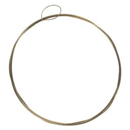 Thomann Nataraj Toombi Single String