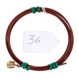 Roth & Junius Antonia Harp String No. 36