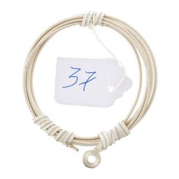 Roth & Junius Antonia Harp String No. 37