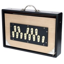 Thomann Nataraj Surpeti Shruti Box Fem